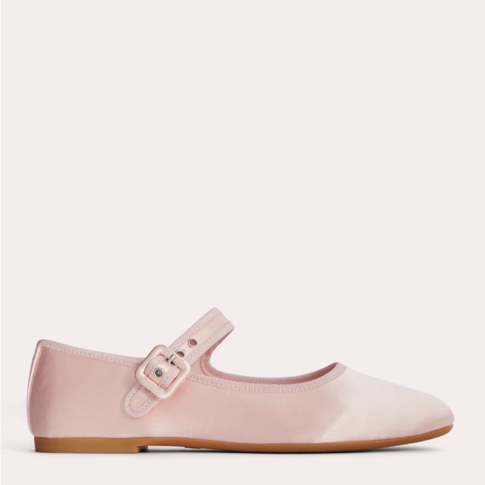 Everlane Pink Mary Jane Flats